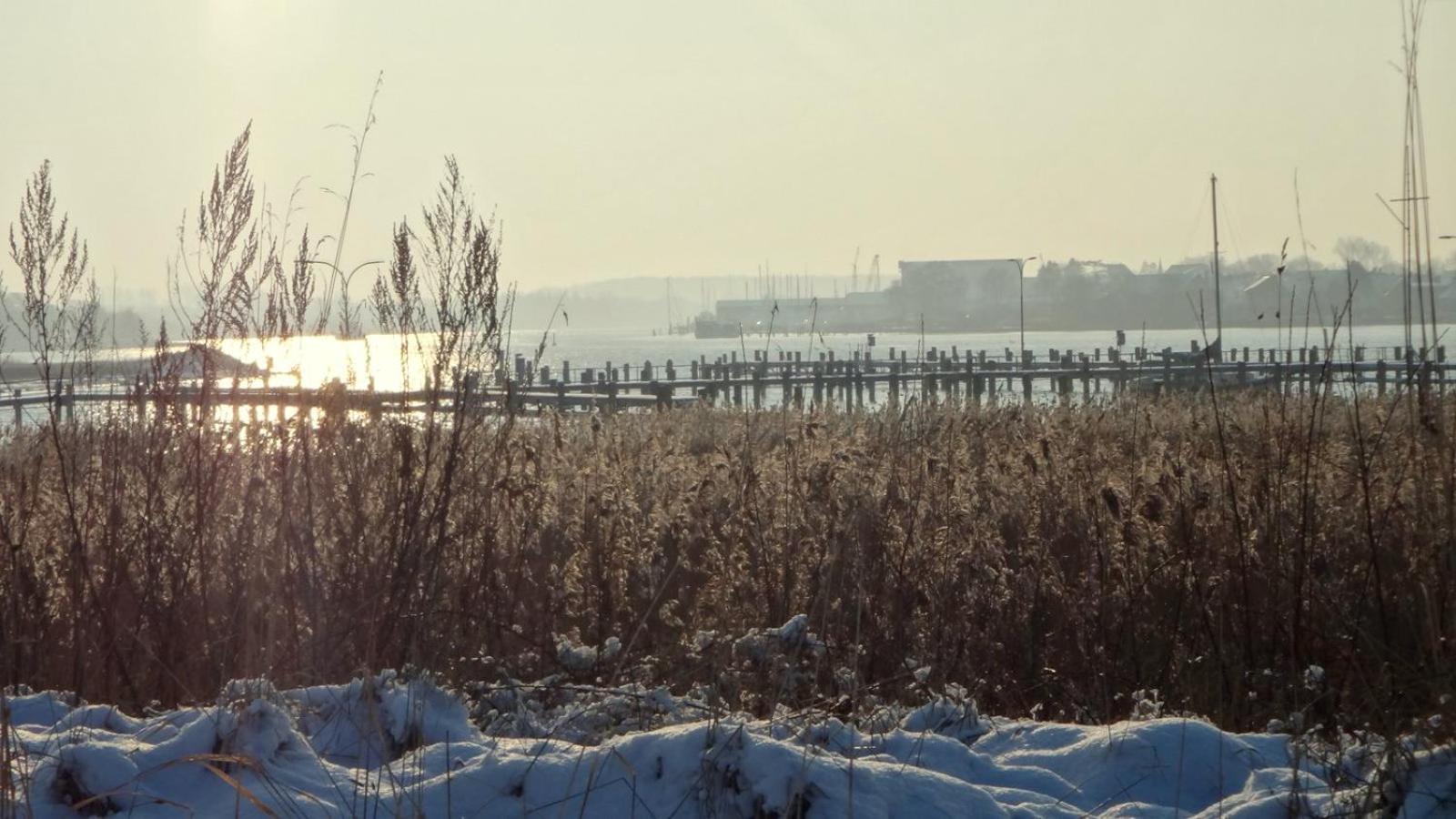 Ferienhaus Dat Smuke Swedenhuus Kappeln Luaran gambar